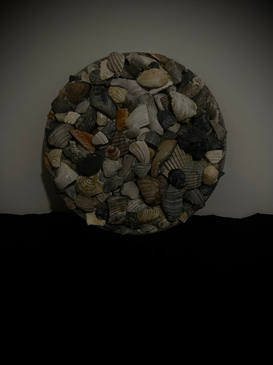 Plate Filled With SeaShells