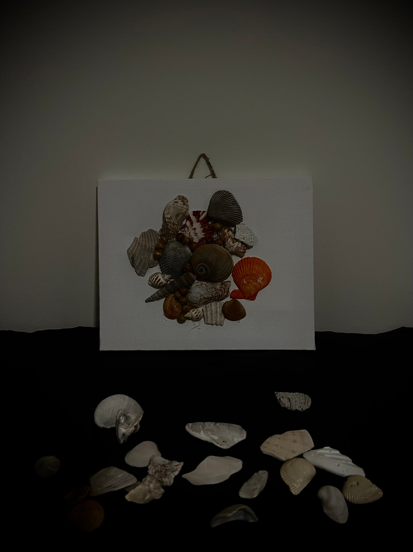 Picture Special Shells