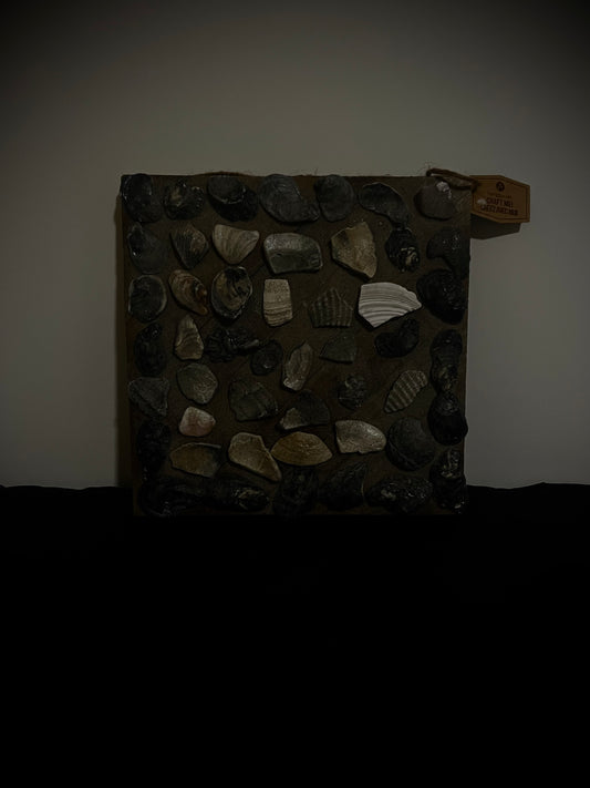 Picture with SeaShells and Coated Sand