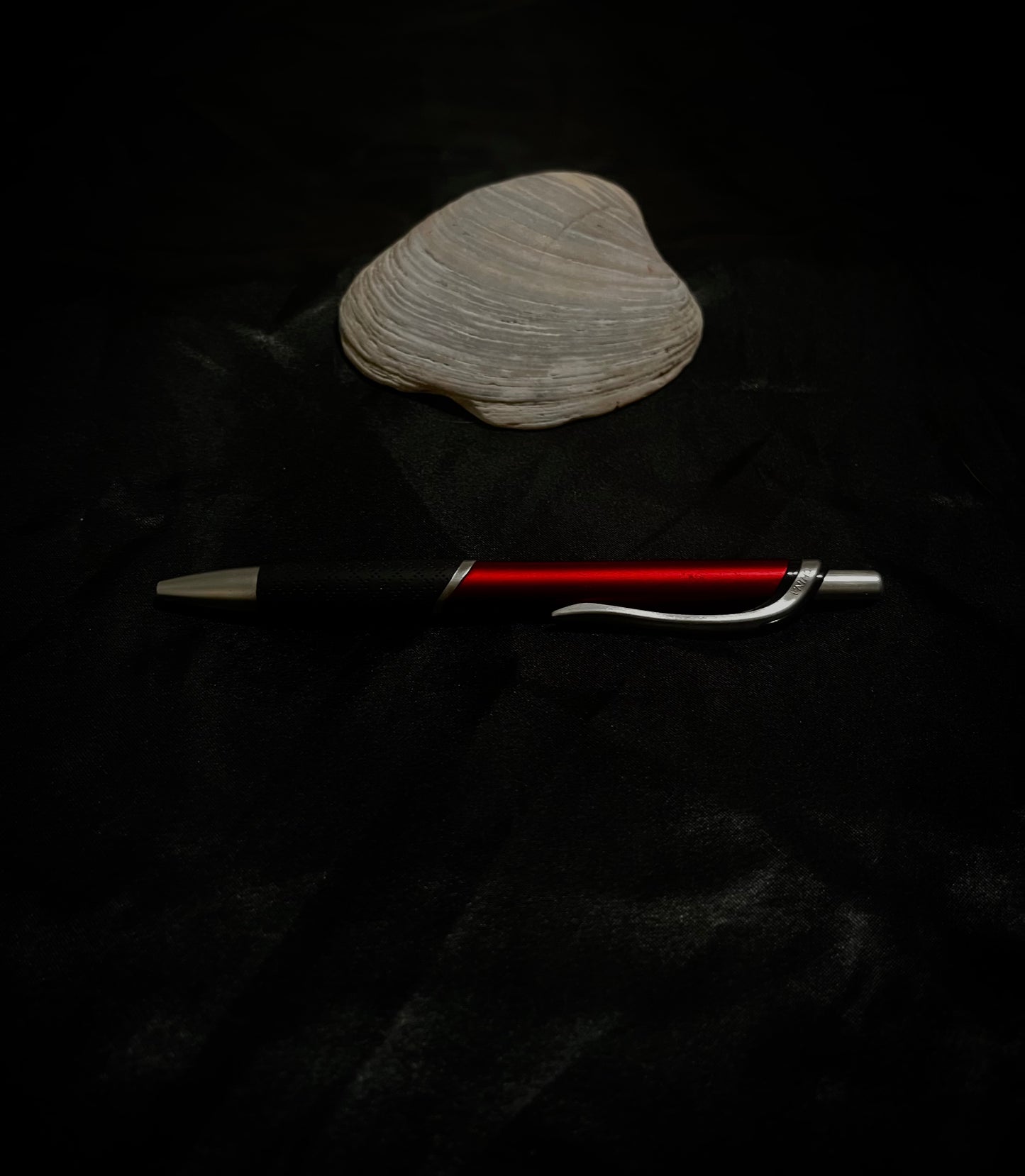 SeaShell 5 inch Grey N White