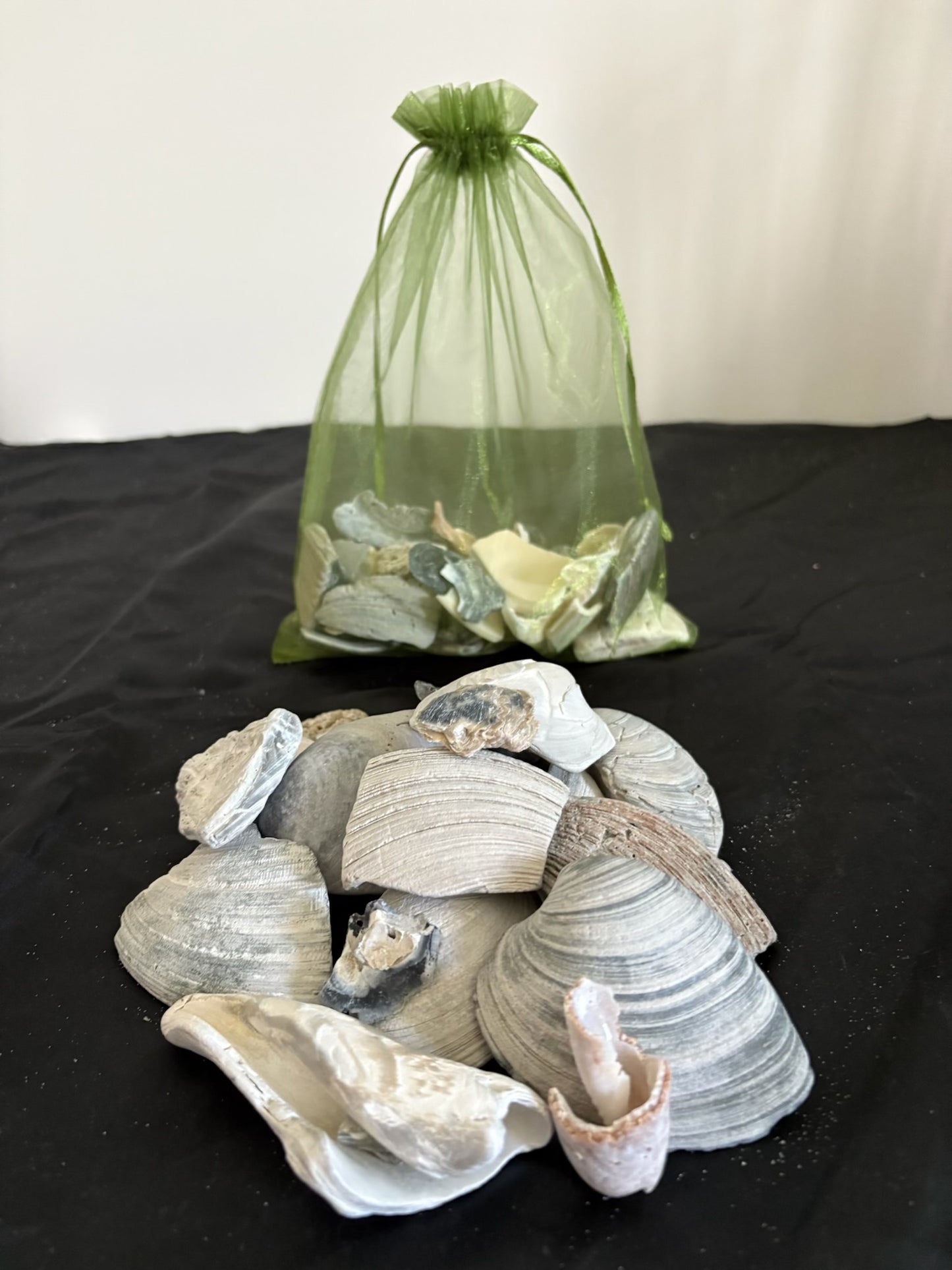 SeaShell Bag Green