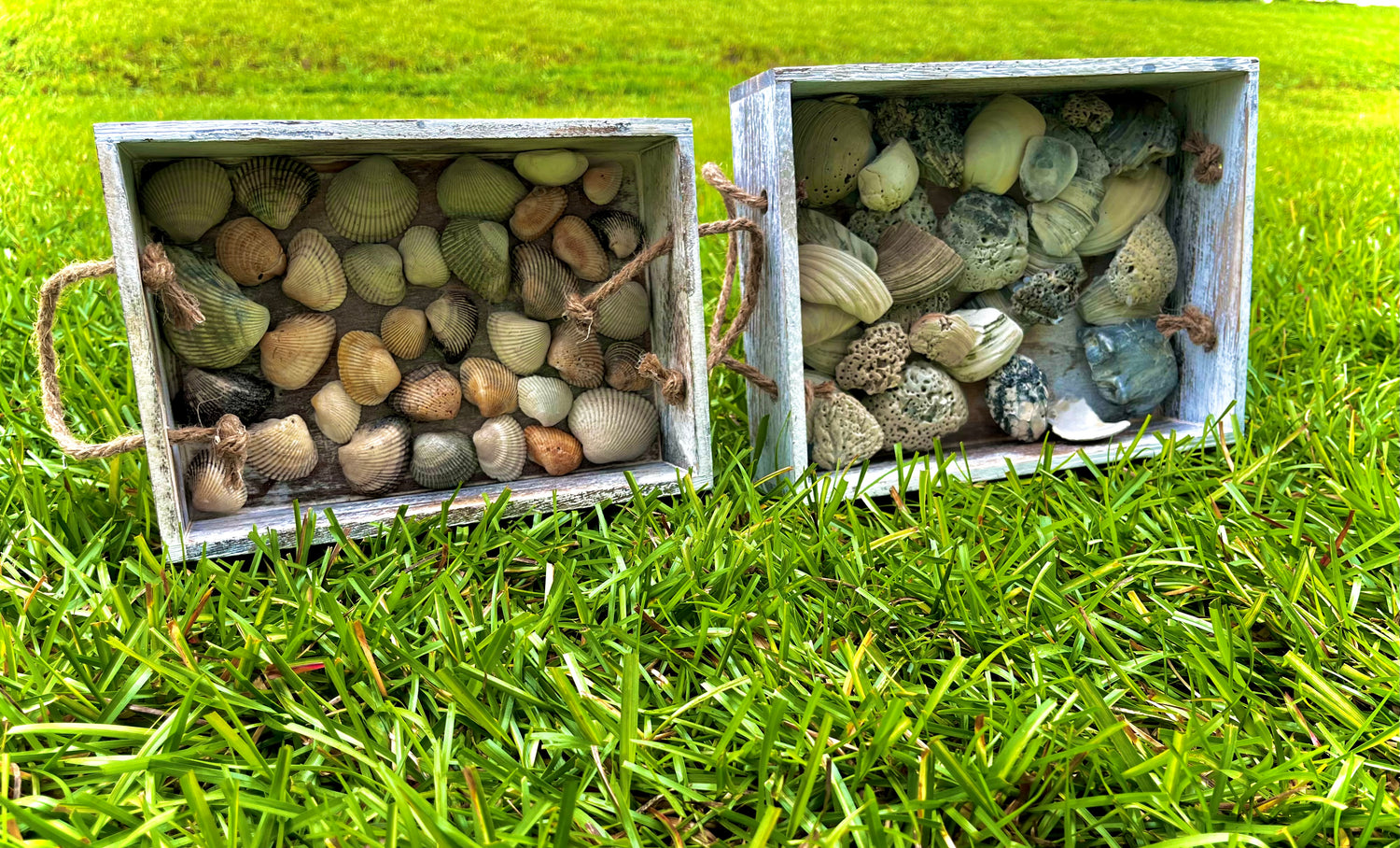 Trays