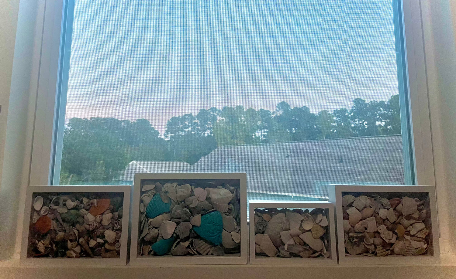 Shadow Boxes