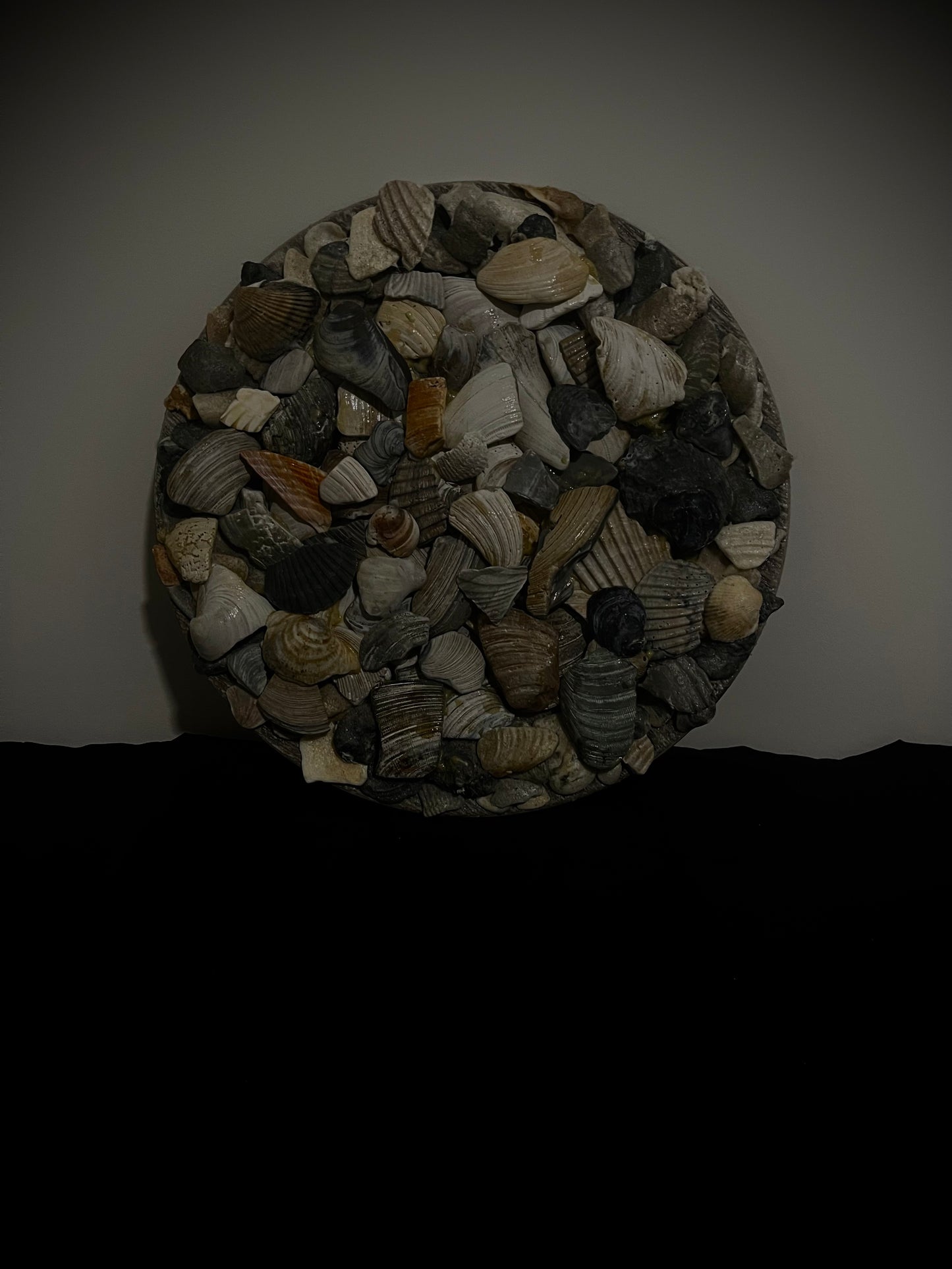 Plate Filled With SeaShells