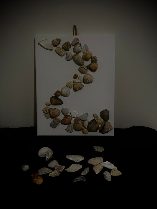 Picture spiral shell