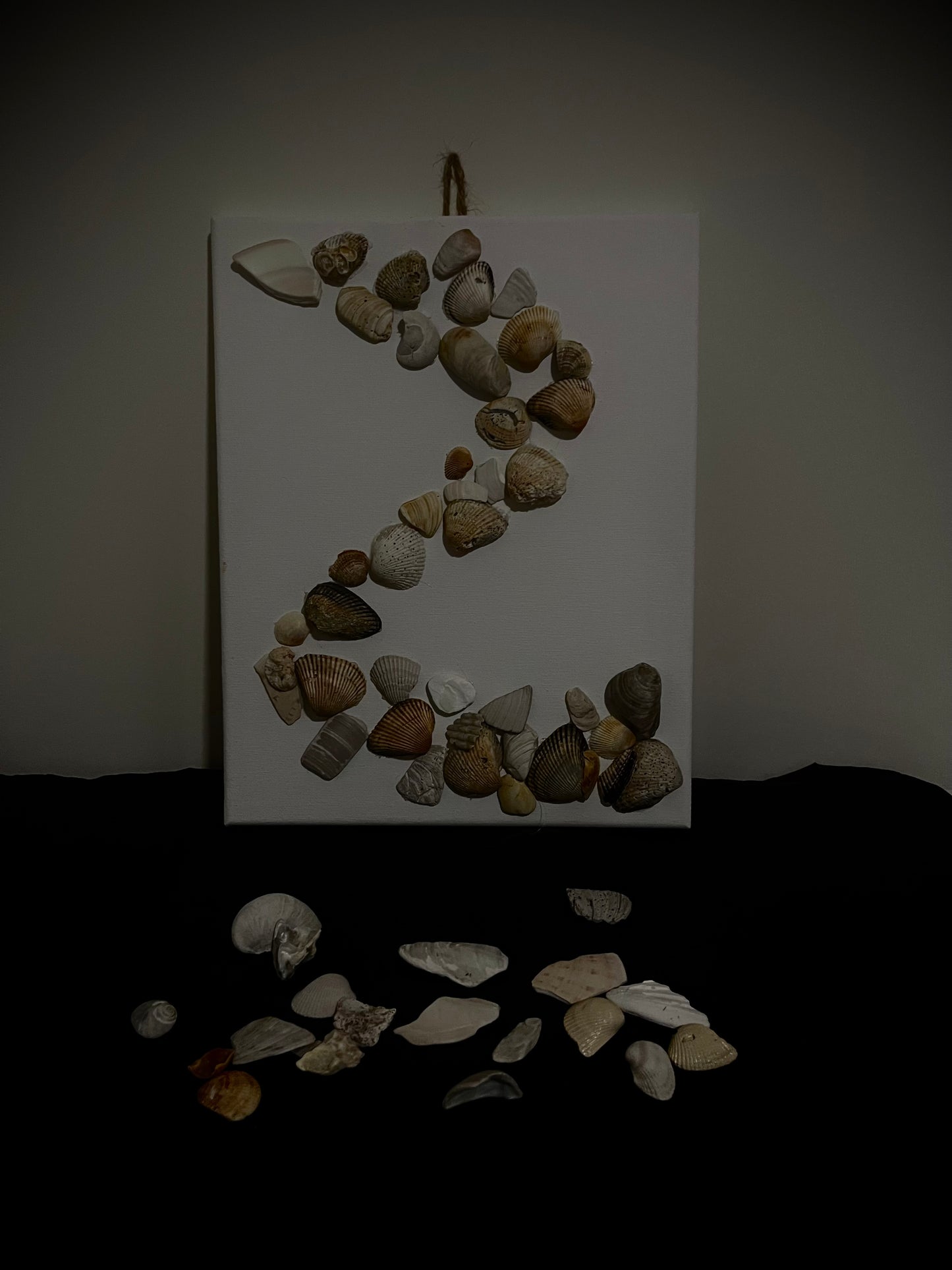 Picture spiral shell