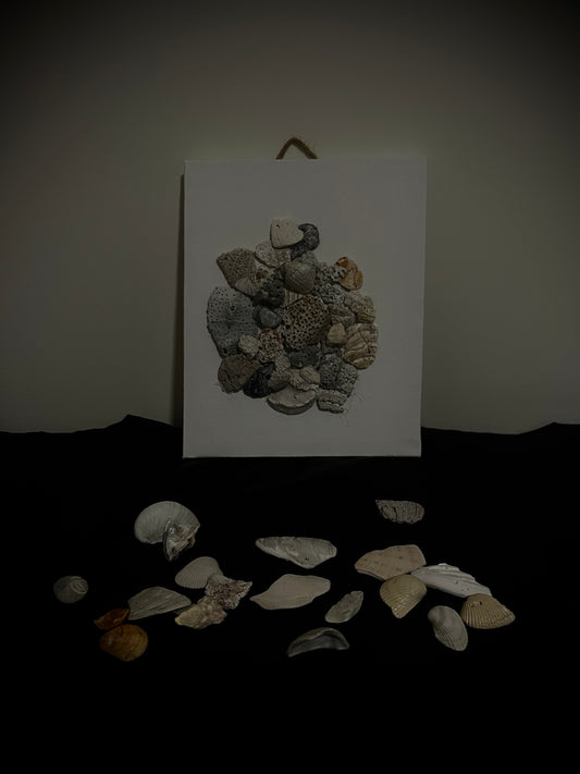 Picture holed shells