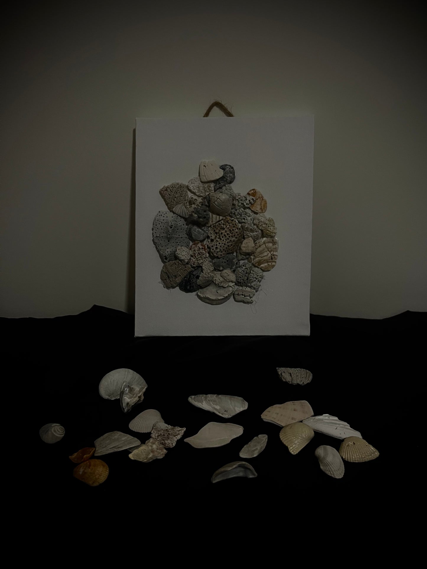 Picture holed shells