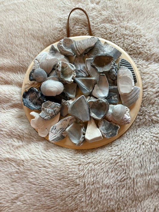 Circle Shell Picture 7x7