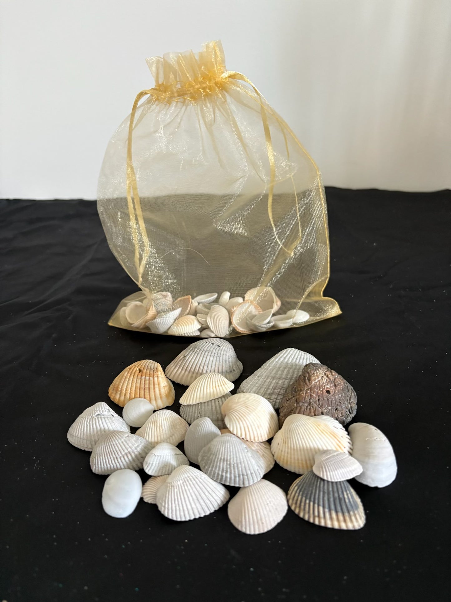 SeaShell Bag Beige